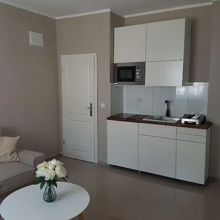 Ana * Seget Vranjica